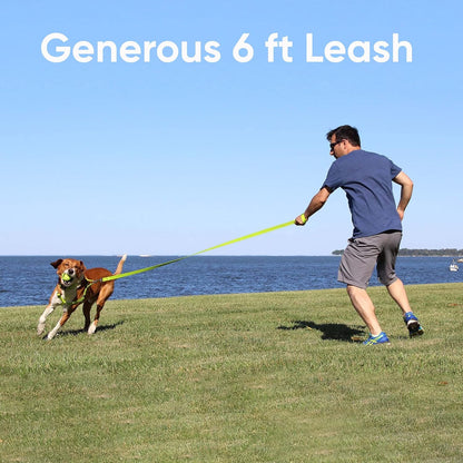 Pet / Puppy 6 - Feet Reflective Dog Leash Extra Small / Small 5/8 Inch Black Matching Collar and Harness Sold Separately.
